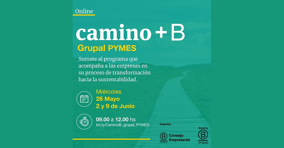 Camino +B Grupal PYMES, Un Nuevo Programa Pensado Para Vos - Consejo ...